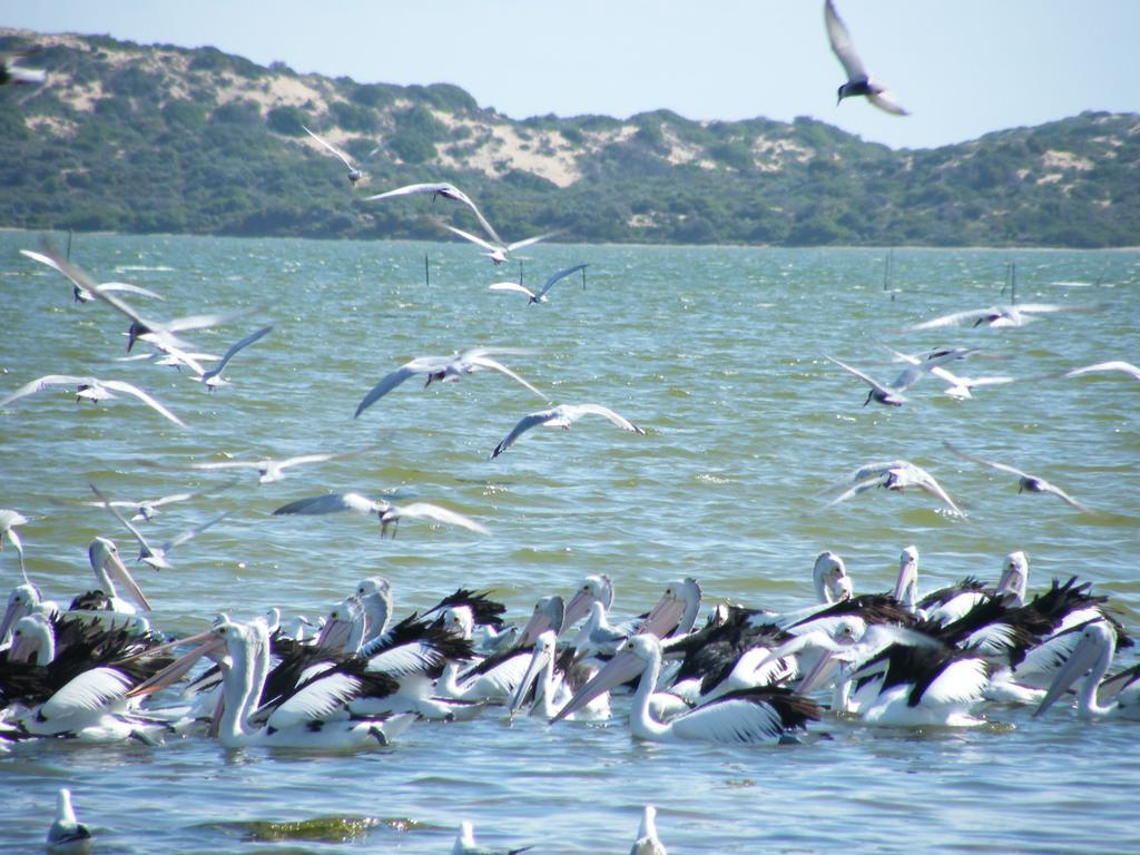 Coorong Waterfront Retreat Holiday home
