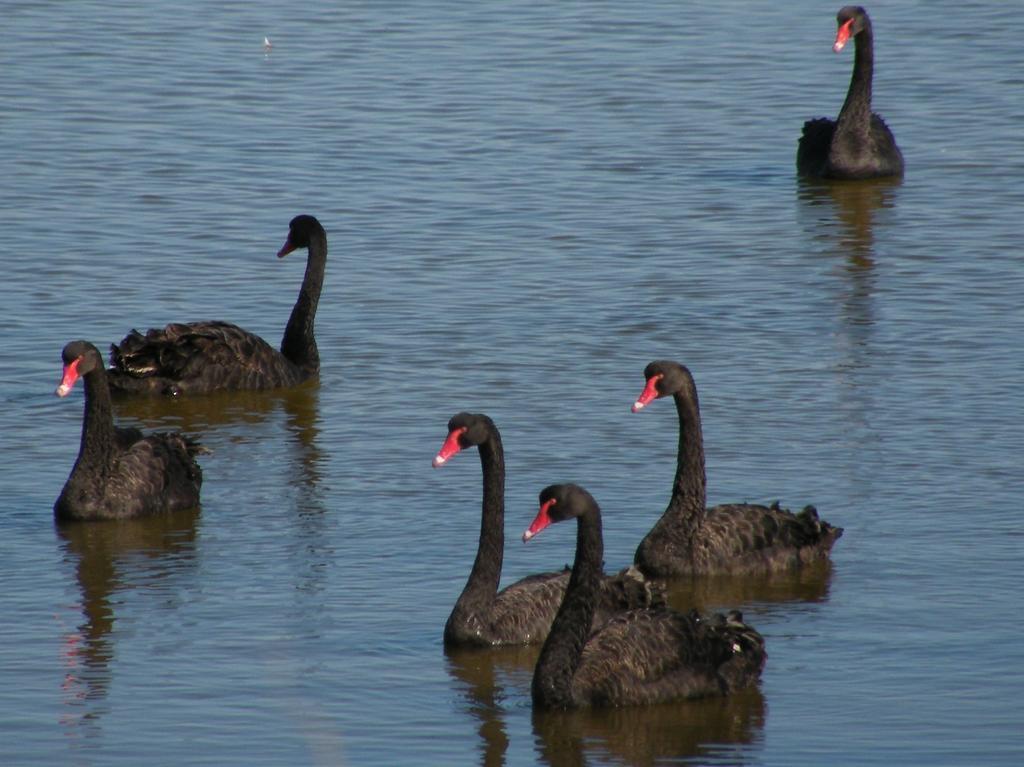 Holiday home Coorong Waterfront Retreat