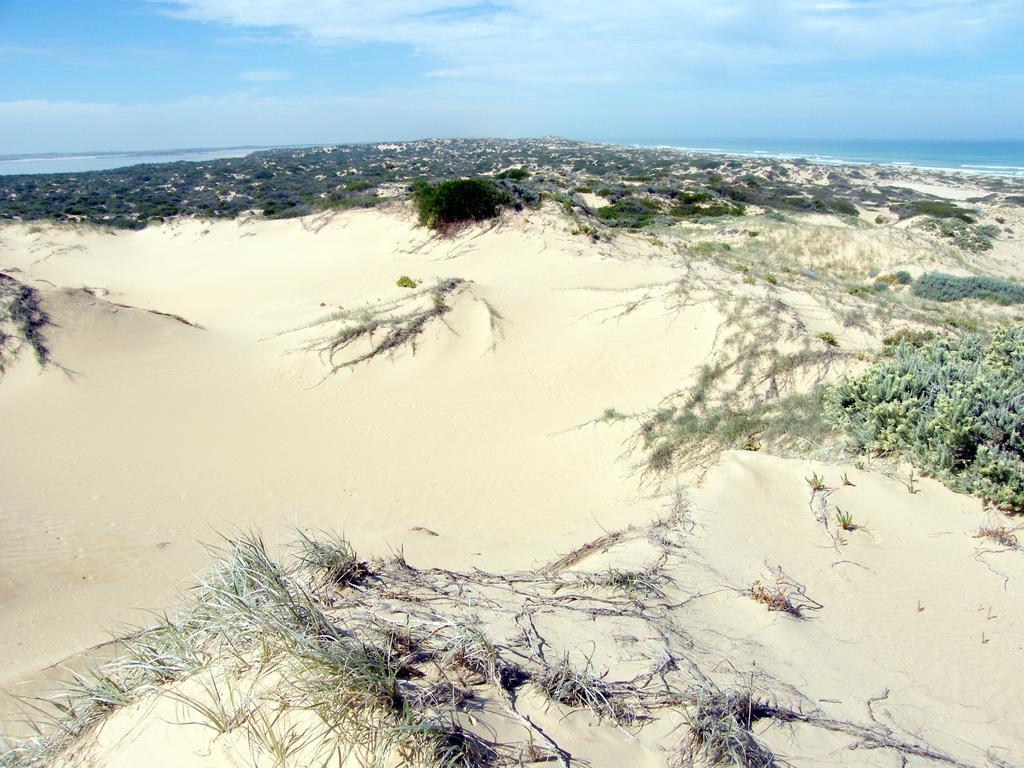 Coorong Waterfront Retreat Meningie